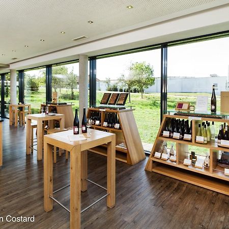 Meyerhof - Bioweingut, Vinothek & Gaestehaus Флонгайм Екстер'єр фото