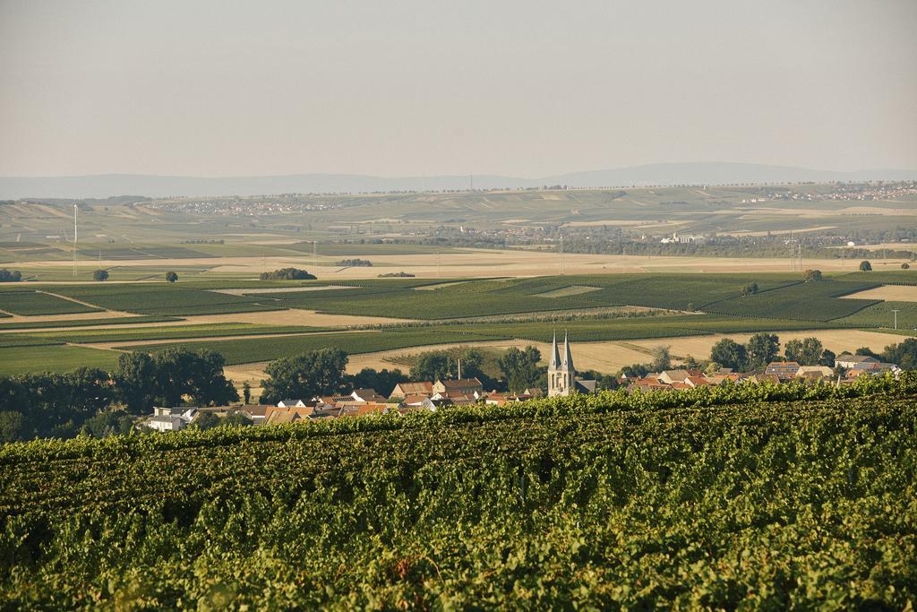 Meyerhof - Bioweingut, Vinothek & Gaestehaus Флонгайм Екстер'єр фото