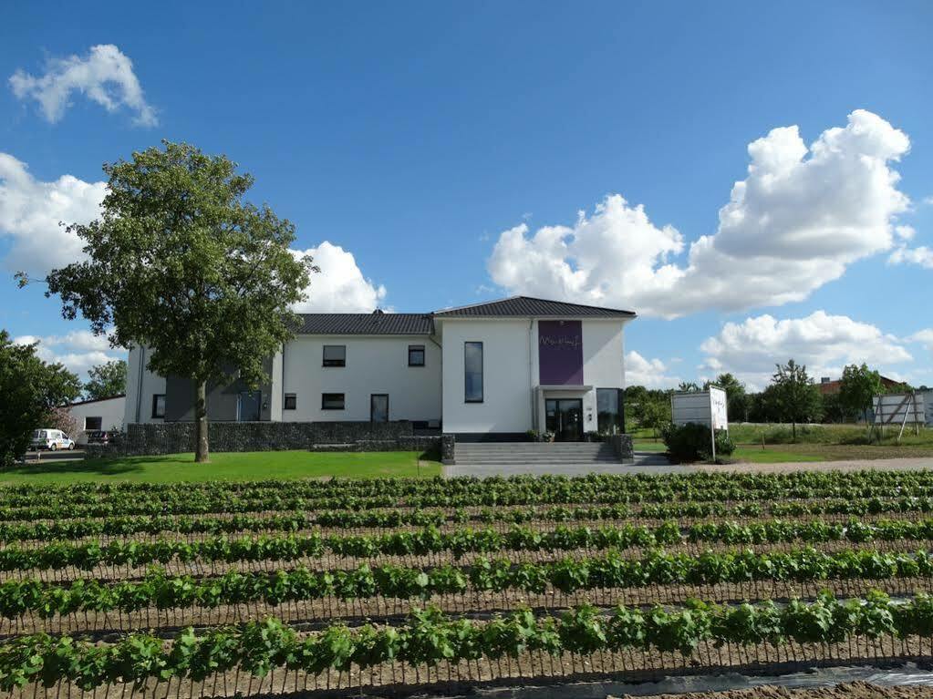 Meyerhof - Bioweingut, Vinothek & Gaestehaus Флонгайм Екстер'єр фото